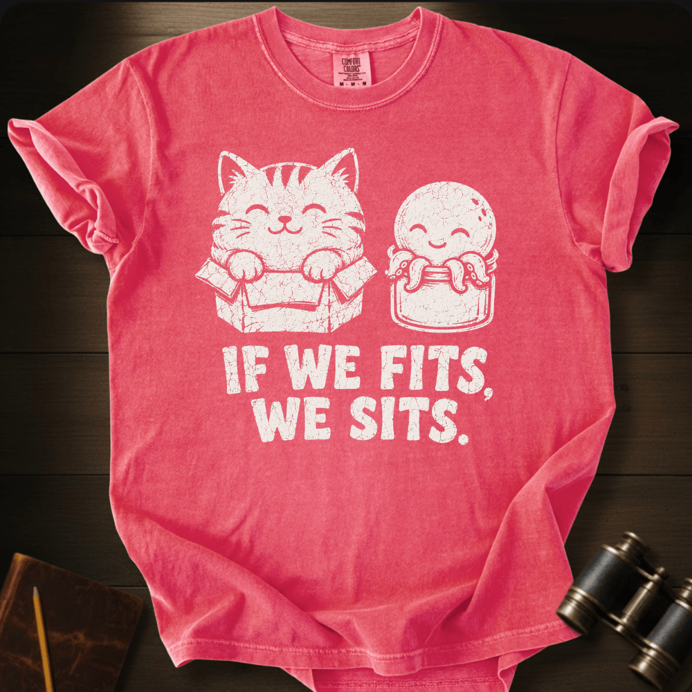 If we Fits We Sits T-shirt
