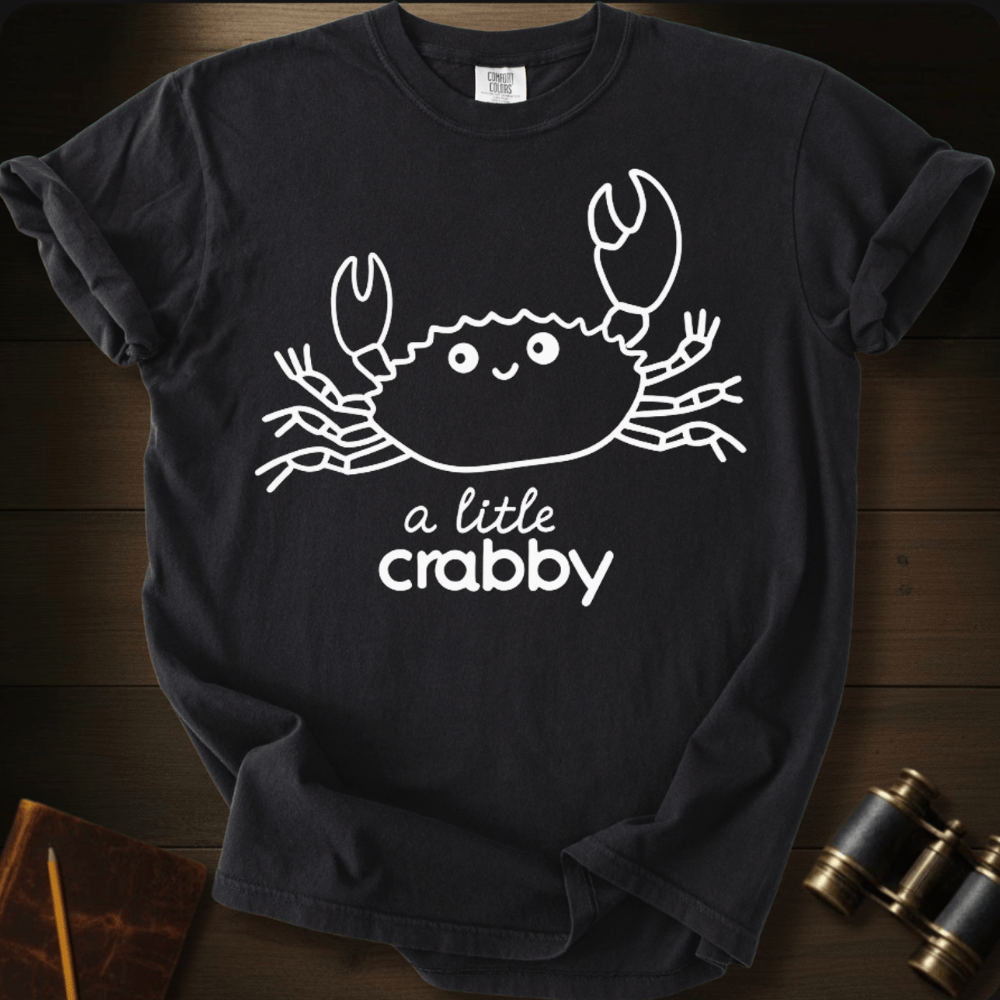 Full Sail Marine A Little Crabby cute crab cartoon graphic Comfort Colors t-shirt in black – funny beach humor design – front view