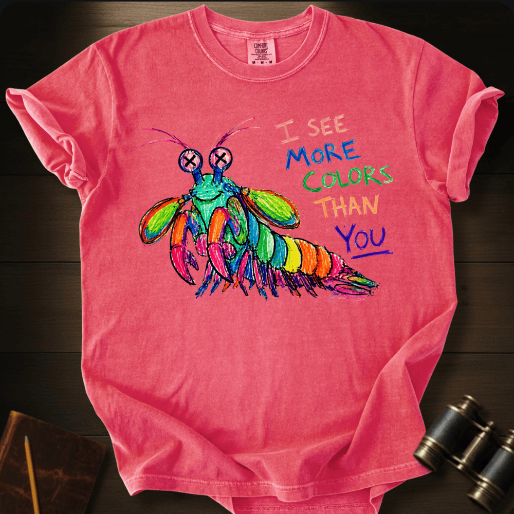I See More Colors Than You T-shirt