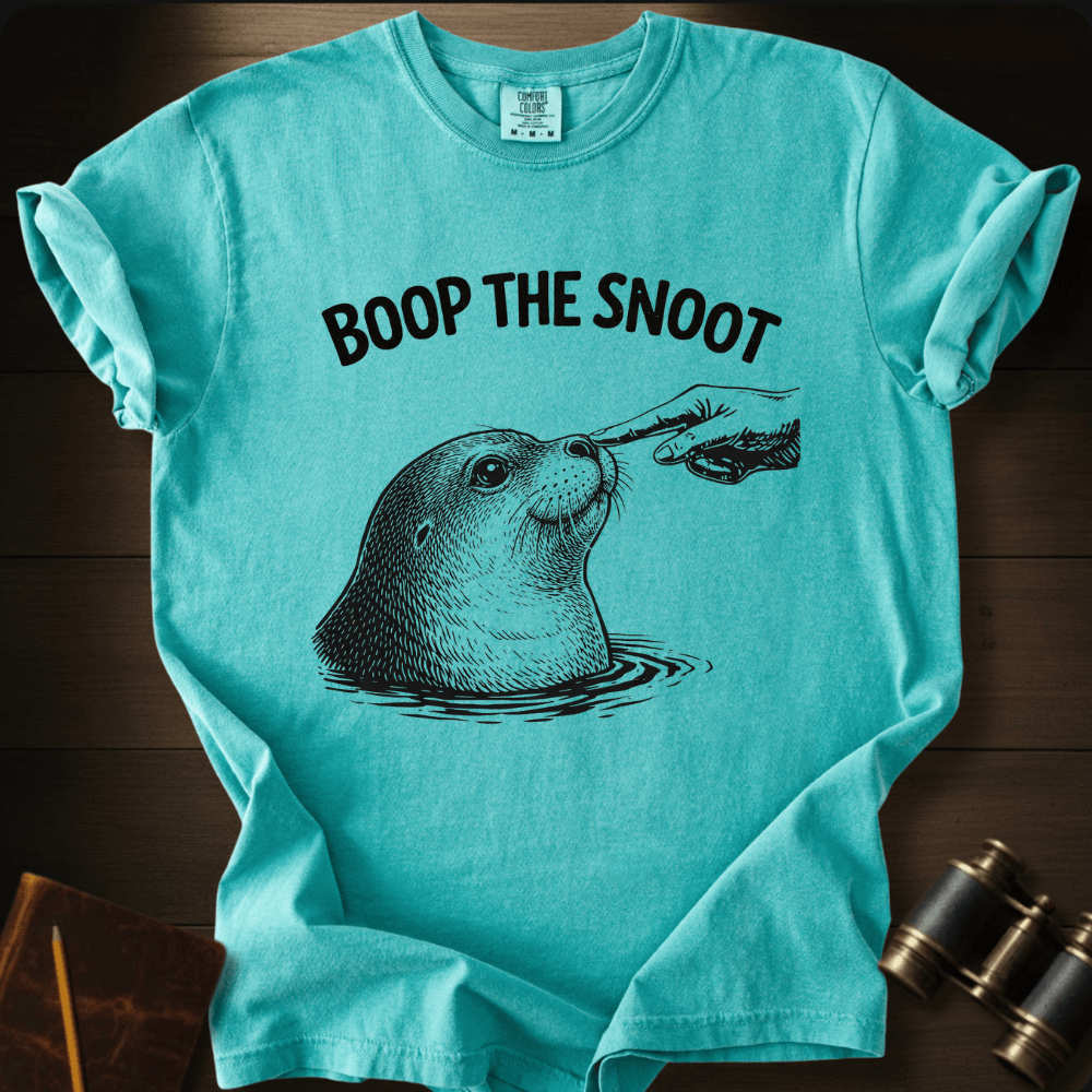 Full Sail Marine Boop the Snoot seal graphic Comfort Colors t-shirt in seafoam – navy seal being booped on nose by hand with BOOP THE SNOOT text design – front view