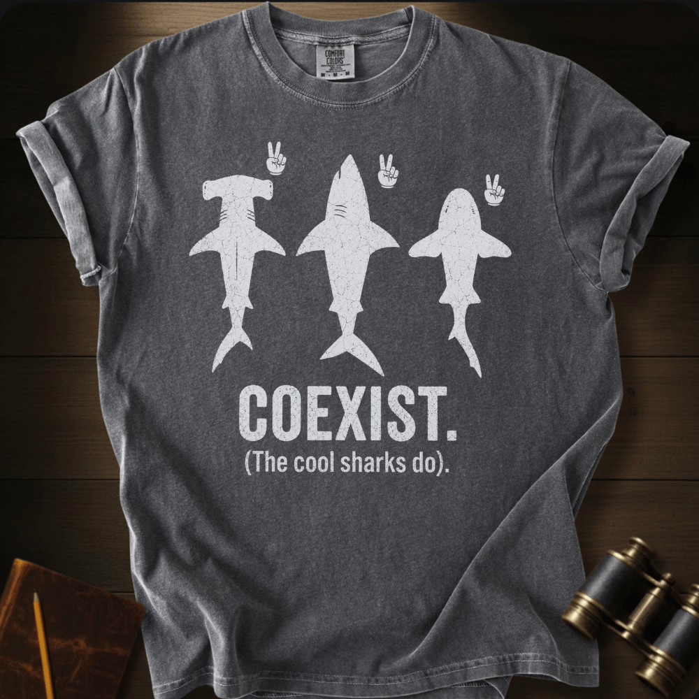 Coexist T-shirt