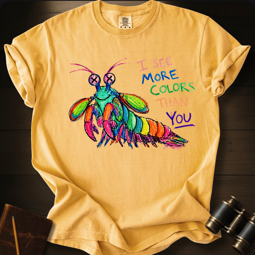 I See More Colors Than You T-shirt