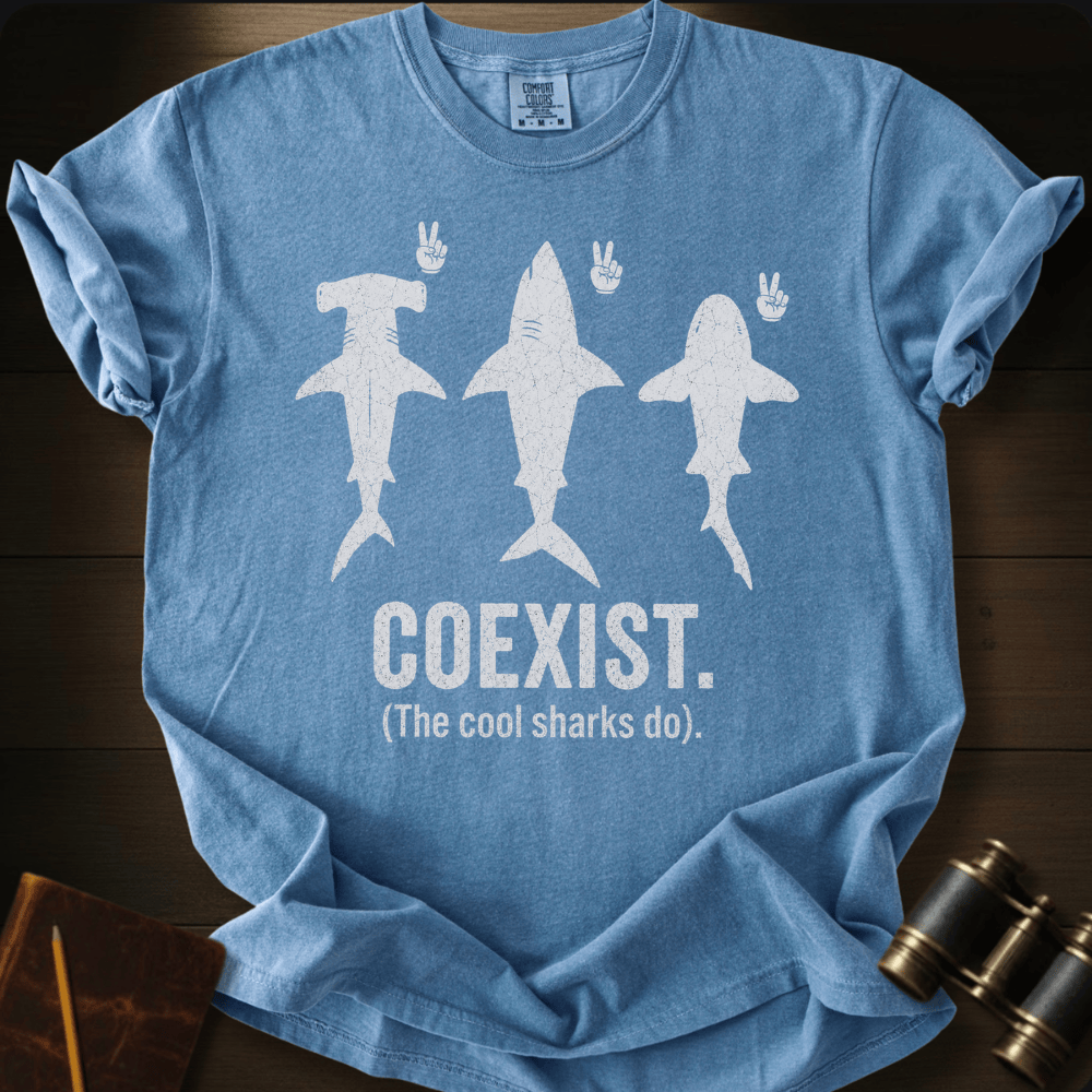 Coexist T-shirt