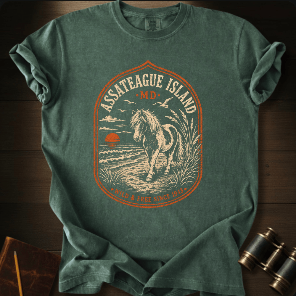 Assateague Island · MD  T-shirt