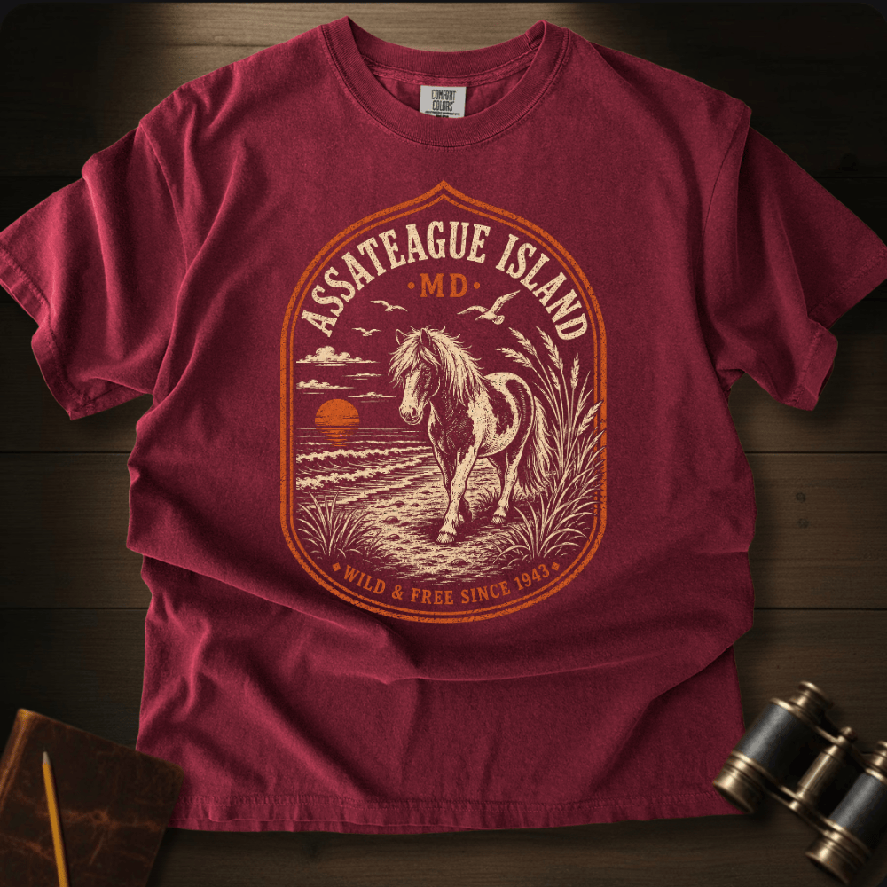 Assateague Island · MD  T-shirt