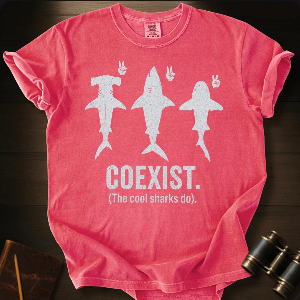 Coexist T-shirt