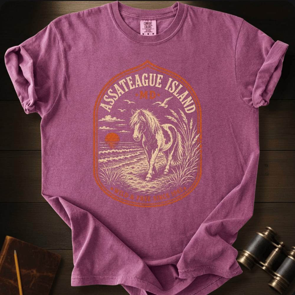 Assateague Island · MD  T-shirt
