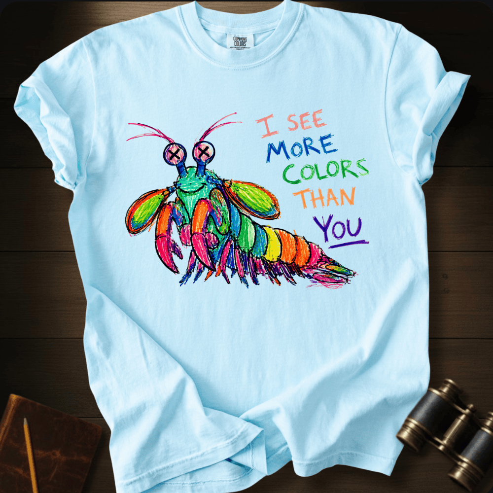 I See More Colors Than You T-shirt