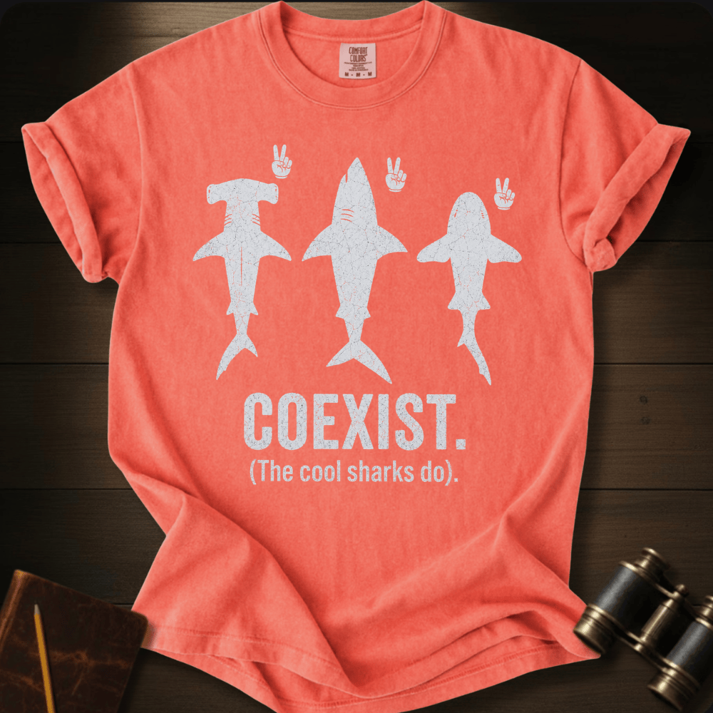 Coexist T-shirt