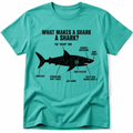 What Makes a Shark Tee